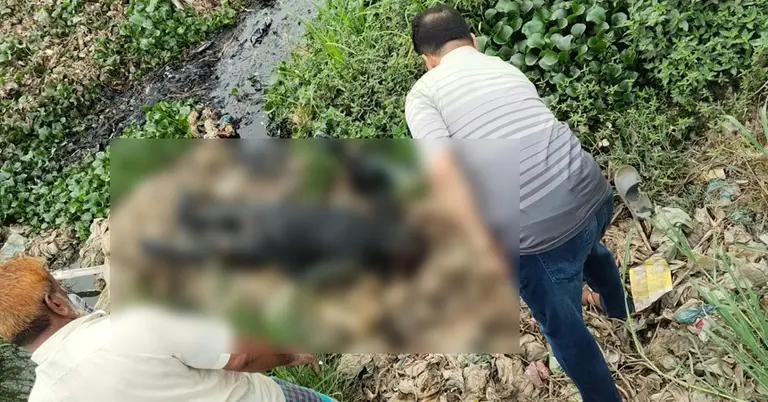 ক্যানেলে পড়ে থাকা মরদেহ